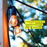 Brightech Ambience Pro - Luces para exteriores de grado comercial con enchufes colgantes - Market Cafe Edison clásico Bistro resistente a la intemperie para patio, jardín, pórtico, patio trasero, fiesta, patio, Negro, 24 Ft Strand