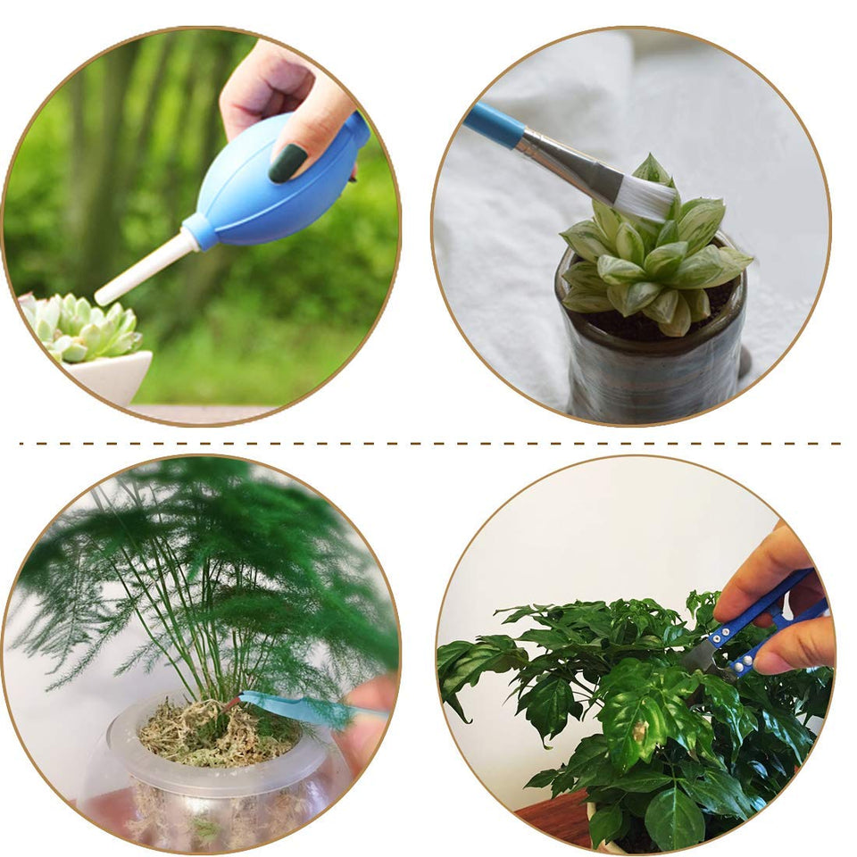 Cheelom Mini jardín de 15 piezas para trasplante manual de herramientas suculentas Plantación en miniatura, macetas, cactus, planta de interior, herramientas de bonsai, kit de bonsai (Azul)