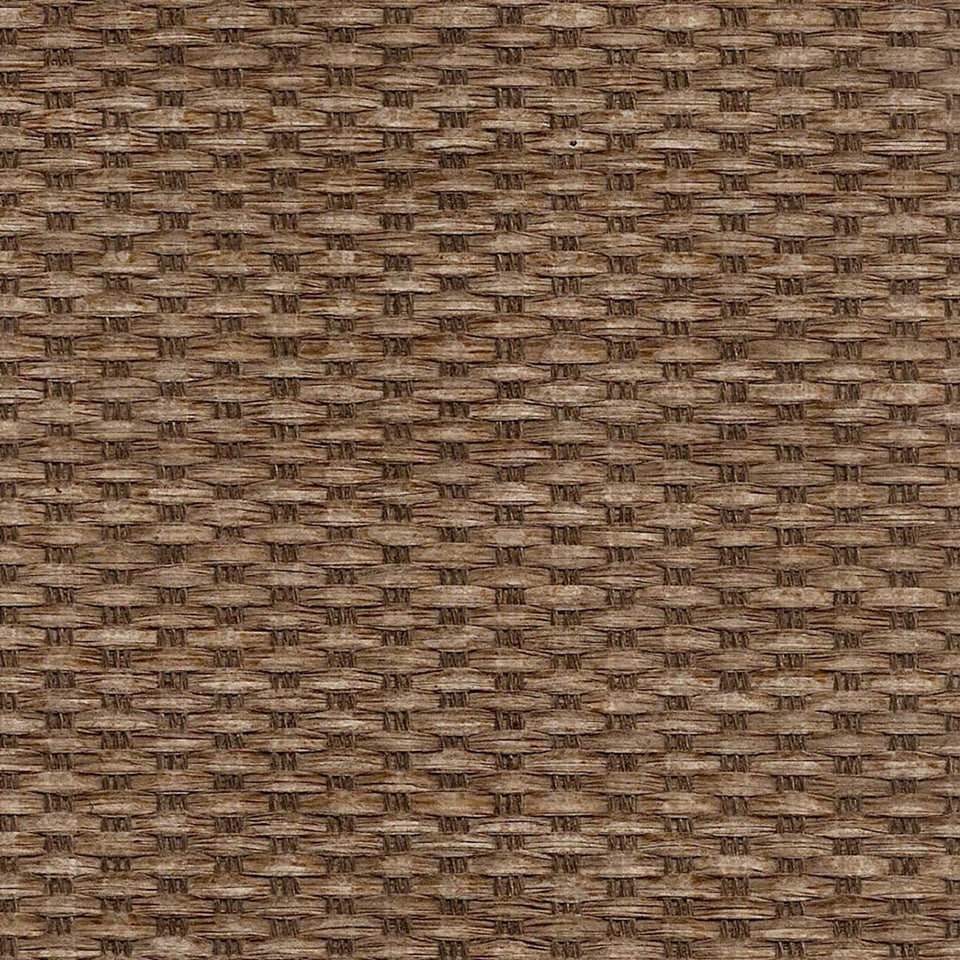 CHICOLOGY Ajustable Panel japonés, Sombra inalámbricos, Doble Rail Track, Tela de privacidad, 203,2 x 243,8 cm Abedul Truffle, Moderno, Birch Truffle, 1